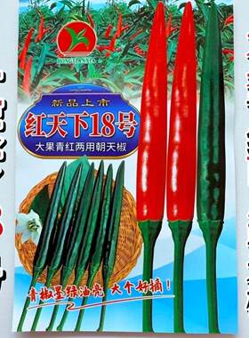 红天下18号朝天椒种子大果青红两用墨绿色辣椒种早熟抗病朝天椒孑