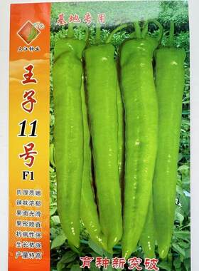 王子11号大椒种子辣椒尖椒牛角椒大羊角椒翠绿皮果直肉厚蔬菜基地