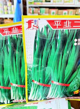 平韭二号韭菜种子一代原种早发高产分孽力强辛辣味浓耐热韭菜籽种