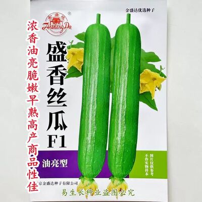 盛香 油亮香丝瓜种子 浓香油绿脆嫩早熟高产商品性佳 农家春秋播