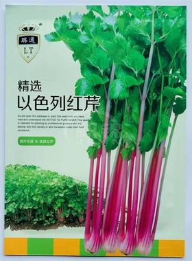 以色列引进品种红芹种子粉红色芹菜种子特色蔬菜红根芹菜种籽特色