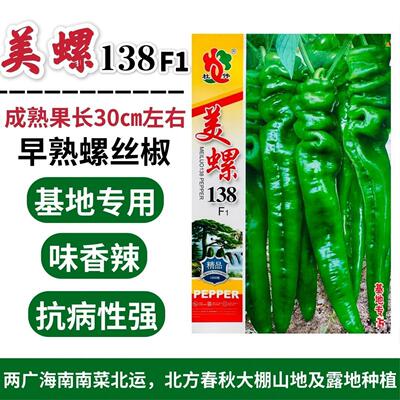 美螺138螺丝椒早熟品种味香辣抗病性强春秋大棚露地均可栽培