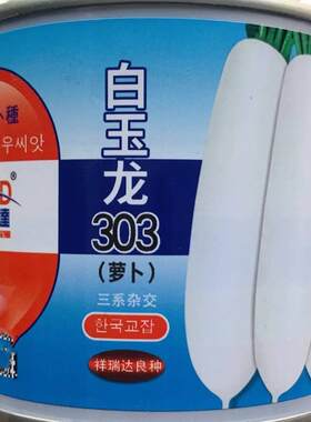 白玉龙303萝萝卜籽韩国DLA引进一代杂交白种萝卜种子 根皮光滑白