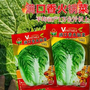 白口香火锅菜种籽筋80天大菜NDF高满产抗病秋播阳台农无家蔬菜种
