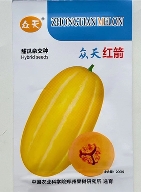红箭早熟杂交薄厚皮甜瓜种子皮金黄肉橙色长椭圆脆甜香瓜种子