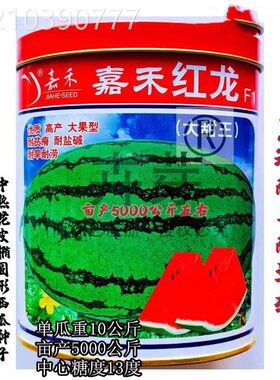 嘉禾红龙西瓜种子巨型高产懒汉西瓜种籽孑南方甜王农家特大水果孑