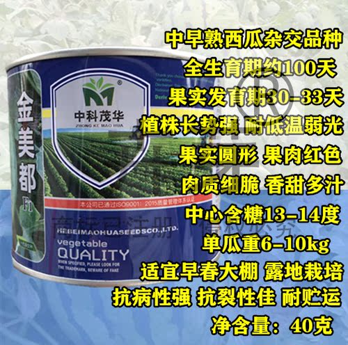 中科茂华8424麒麟瓜金美都西瓜种子改良美都抗裂冰糖瓜高产西瓜籽