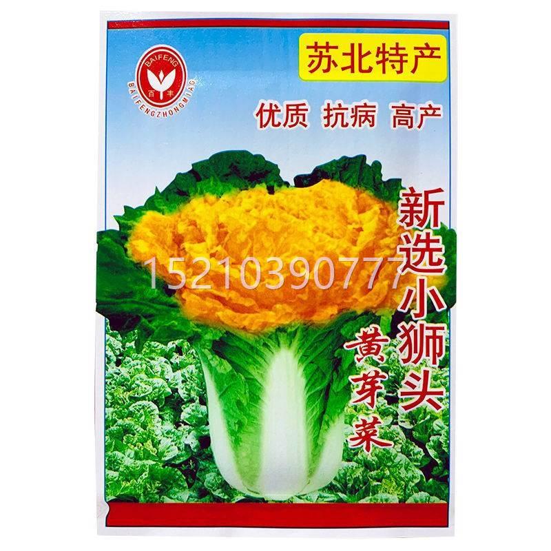 UJV子新选小高狮头黄芽菜中狮头白籽菜种黄心菜种苏北特产秋播产