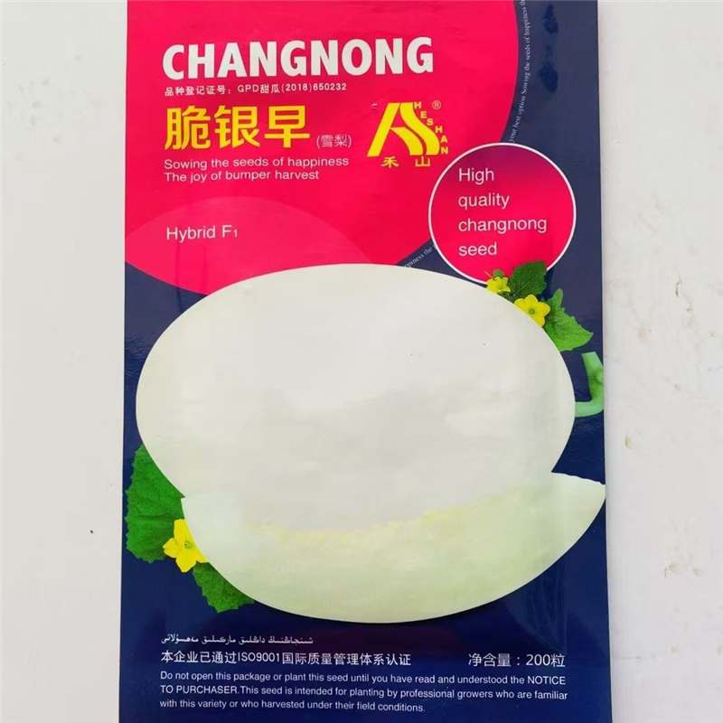 脆银早甜瓜种子新疆甜白皮洋雪梨香瓜籽高产四季大棚露天水果种孑