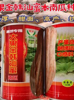 大果金韩汕蜜罐装蜜本南瓜种子高产耐储运肉厚细腻果5-7公斤50克