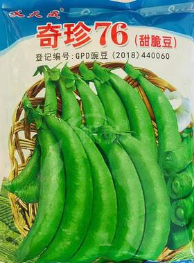 义天晟奇珍76甜脆豌豆种子翠绿甜脆高产耐寒抗病商品性佳秋季播种