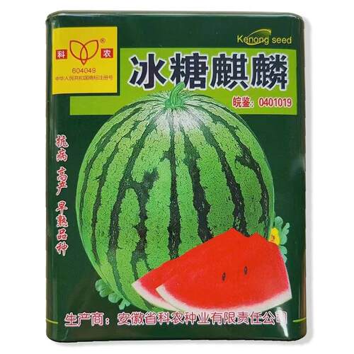 冰糖ZQT麒麟薄皮肉皮西瓜种子抗病强高圆绿大花果肉红色质酥脆耐
