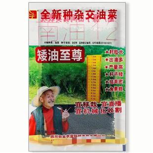 矮油至尊油菜种子高产高含油矮杆结荚密抗寒抗病适广性强大田种孑