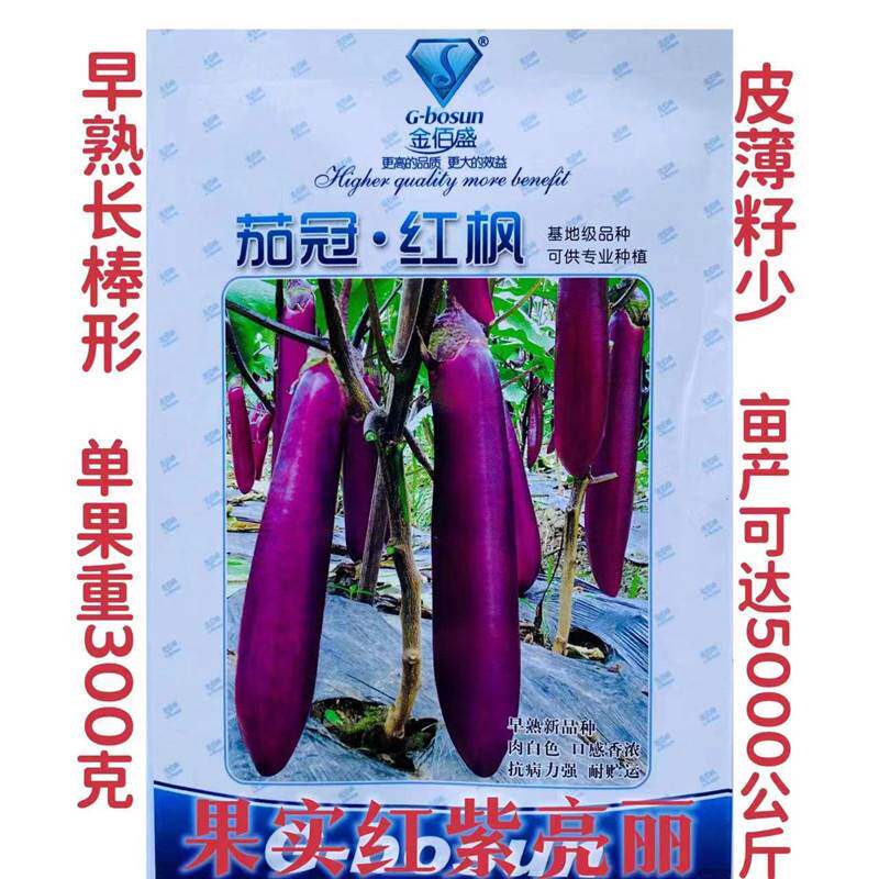 茄冠红枫茄种子紫红长茄种籽茄子紫色皮高产四季蔬菜包邮紫红茄王