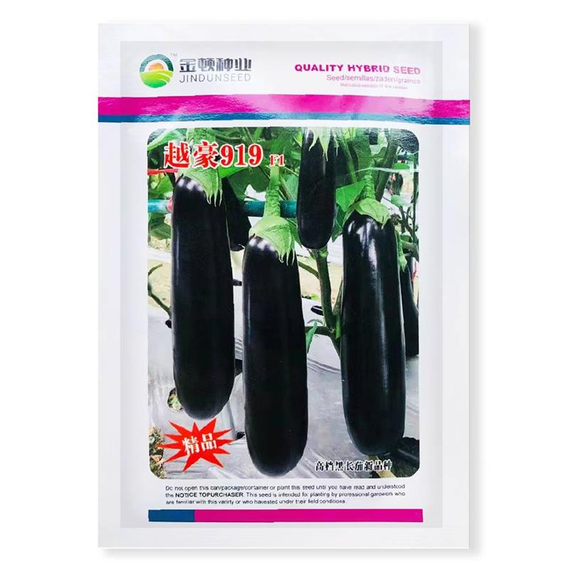 越豪91JEZ子9紫色茄子种抗病熟杂交一代种新品种早春夏秋蔬菜子