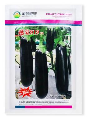 越豪91JEZ子9紫色茄子种抗病熟杂交一代种新品种早春夏秋蔬菜子