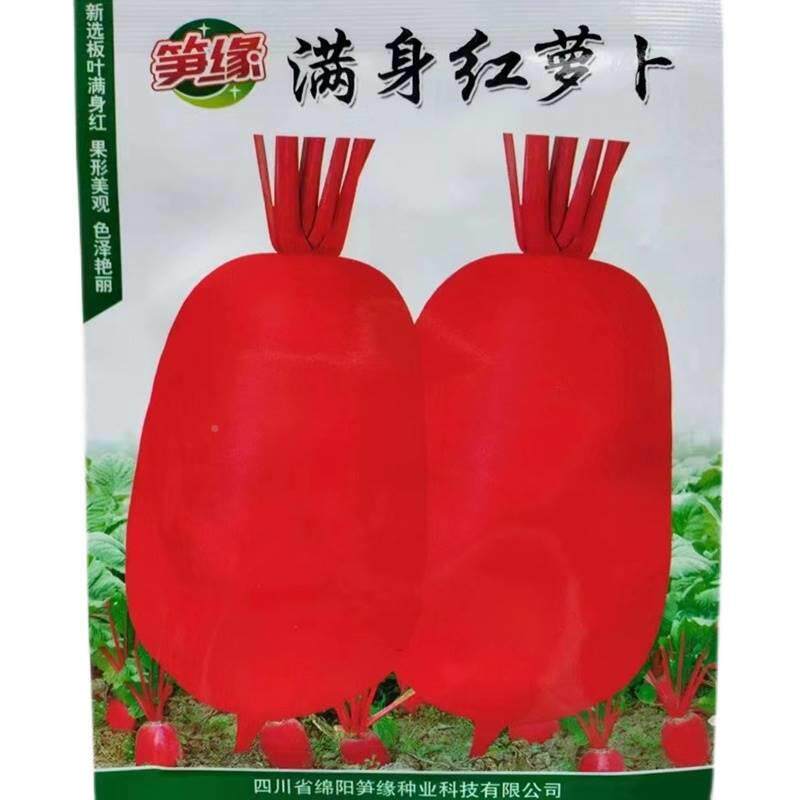 缘身红萝卜种子早熟口感好皮LHR肉白丰产笋耐热满商品性佳夏红秋