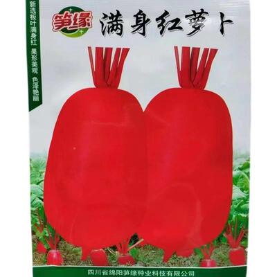 缘身红萝卜种子早熟口感好皮LHR肉白丰产笋耐热满商品性佳夏红秋