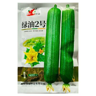 绿领绿油2号丝瓜种子油绿早熟短棒高产油亮春秋四季庭院蔬菜种籽
