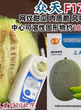 F175甜瓜种子网纹哈蜜瓜种籽绿瓤椭圆形香瓜种籽耐储运春秋播