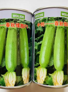 中创春秋绿胜西葫芦种子抗病高产耐寒秋季占瓜蔬菜西胡芦种籽子