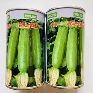 中创春秋绿胜西葫芦种子抗病高产耐寒秋季占瓜蔬菜西胡芦种籽子