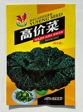 春不老高价菜种子黑心乌泡泡青黑油菜耐寒耐抽苔好吃易种蔬菜种籽