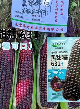 北京华耐黑甜糯631甜加糯玉米种子穗轴籽粒黑色黑甜加糯玉米种子