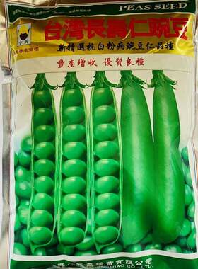 台湾长寿仁豌豆半蔓形豌豆种子白花绿荚味甜秋播抗病大荚豌豆种籽