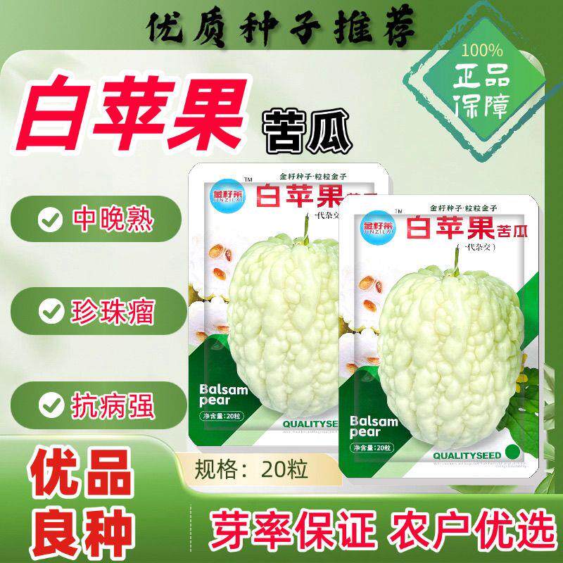 白苹果苦瓜种子特色苦瓜品种中晚熟厚肉苦瓜抗病性强瓜白亮珍珠瘤