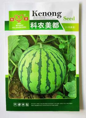 科农美都瓜WAS子中熟甜王西0号皮早薄少籽大种红瓤甜脆多汁原装