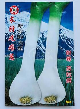 鸡腿葱种籽葱种子长脖疙瘩大葱四季大头葱春季秋季阳台盆栽蔬菜籽