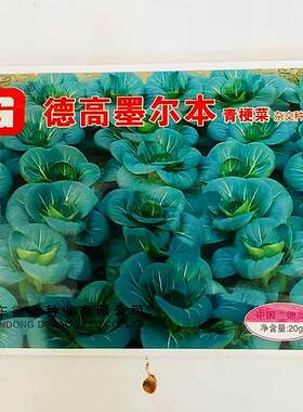 德州高青墨尔KOS本梗菜种子矮萁黑绿苏青季高产耐寒商品性佳秋播