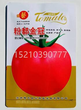 BCB粉果茄种早子大果西柿种籽熟抗病高产不早衰番耐储运春秋两季
