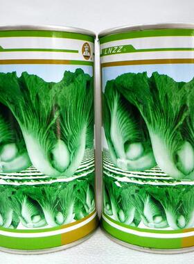 改大心肉包芥菜种速快长青菜优质高产耐热耐湿抗VGH病农家秋季良