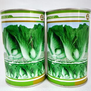 改大心肉包芥菜种速快长青菜优质高产耐热耐湿抗VGH病农家秋季良