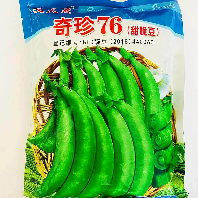 奇珍76甜豆种子熟早抗病脆EJL耐寒兰豆农家田荷园春秋播甜脆豌豆