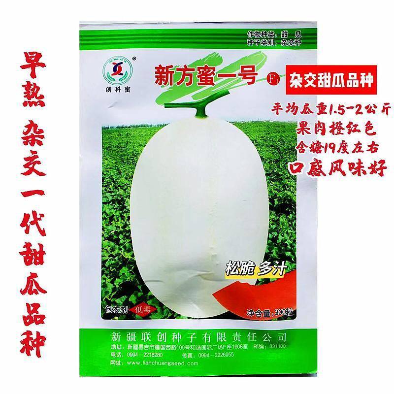 新方蜜一号玉菇甜瓜种子白皮橘红肉早熟超甜东方明珠甜香瓜种籽孑