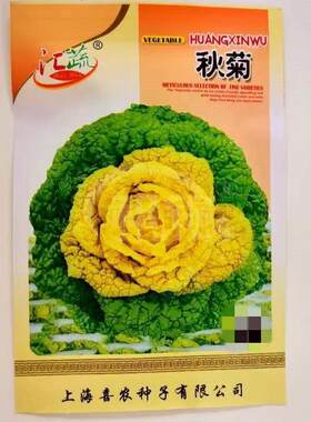 秋菊白菜种子黄心乌种子乌塌菜耐寒秋冬蔬菜种子菊花菜籽黄心菜籽