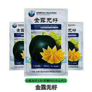 金露无籽西瓜种子高档黄瓤早熟高产抗病不裂果耐贮运易坐果大田种