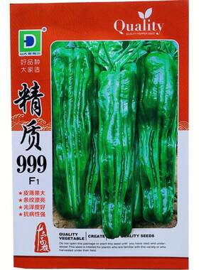 大家族 精质999辣椒种子 深绿色大果薄皮椒种子早熟薄皮椒种子