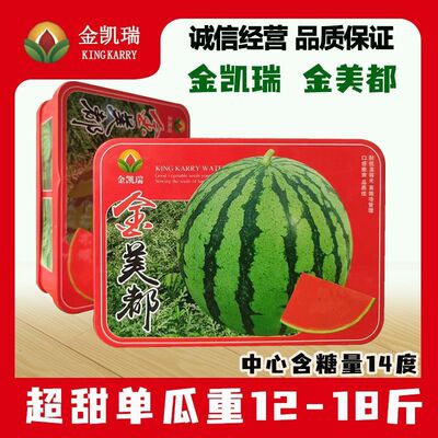 高纯正品金美都西瓜种子抗病抗裂高产早熟超甜基地专用红壤西瓜种