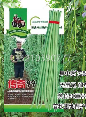 豆角种子不败豇豆种籽春秋季传奇99绿长架豆摘条高产家CIS蔬菜种