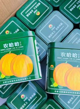 金凯瑞农哈哈丑八怪甜瓜种子早熟薄皮高糖高产黄皮甜脆清香抗病强