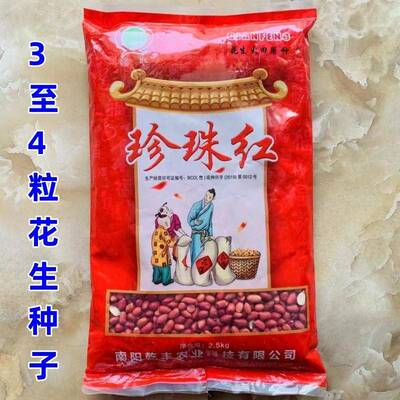 大包装剥壳花生种子四粒红三粒两粒粉红花生种子抗病丰产花生种籽