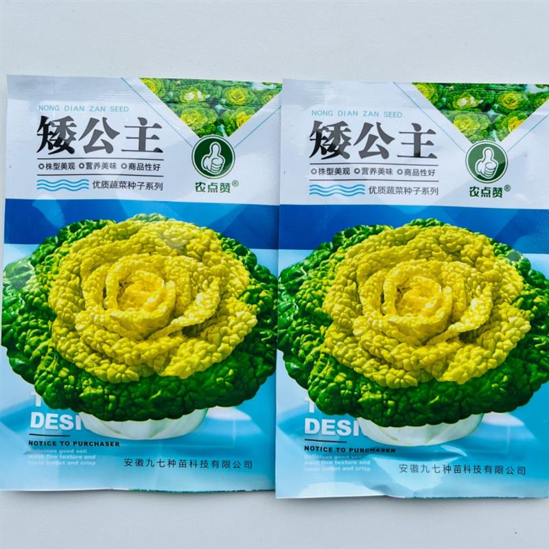 矮公主乌塌菜种子特矮黄心乌种籽极耐寒黄心乌塌菜种子乌塌菜籽种