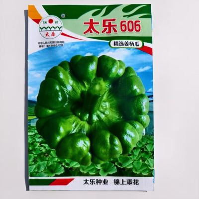 太乐606姜柄瓜种子10克