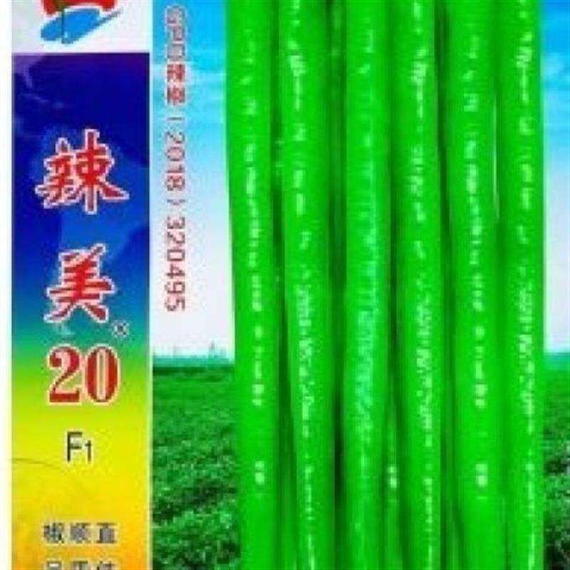 辣美20早熟杂交线椒种子早熟高产采收期长顺直特长线辣椒种籽商品