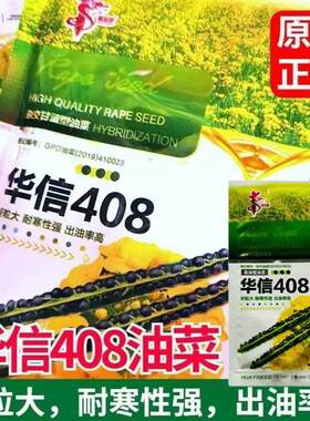 华信408油菜种子高产杂交矮杆耐寒抗倒伏高出油早熟油菜花种籽