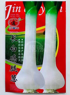 长白鸡腿葱大葱种子 优质高产耐寒耐贮商品性佳 农家秋季播种精选